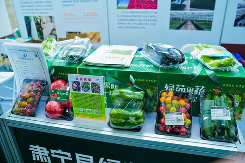 旱堿麥品牌引領京津冀農業協同新篇章——滄州農產品閃耀京城