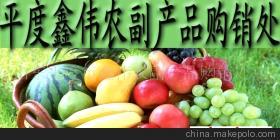 山東玉米市場價格、廠家信息與農產品代理介紹