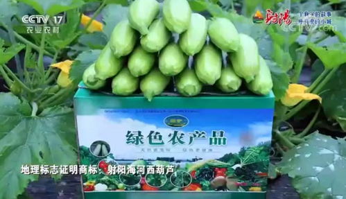 火遍全國！射陽綠色農產品宣傳片刷屏央視、江蘇衛視黃金時段