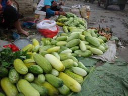 元陽縣農產品信息網 連接優質農產品與市場的橋梁